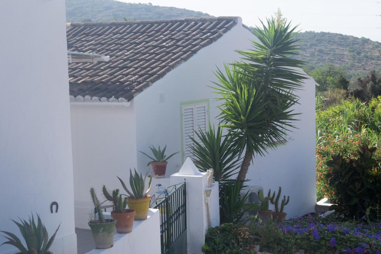 Casa Da Cabeca Hotel Azinheiro Екстериор снимка