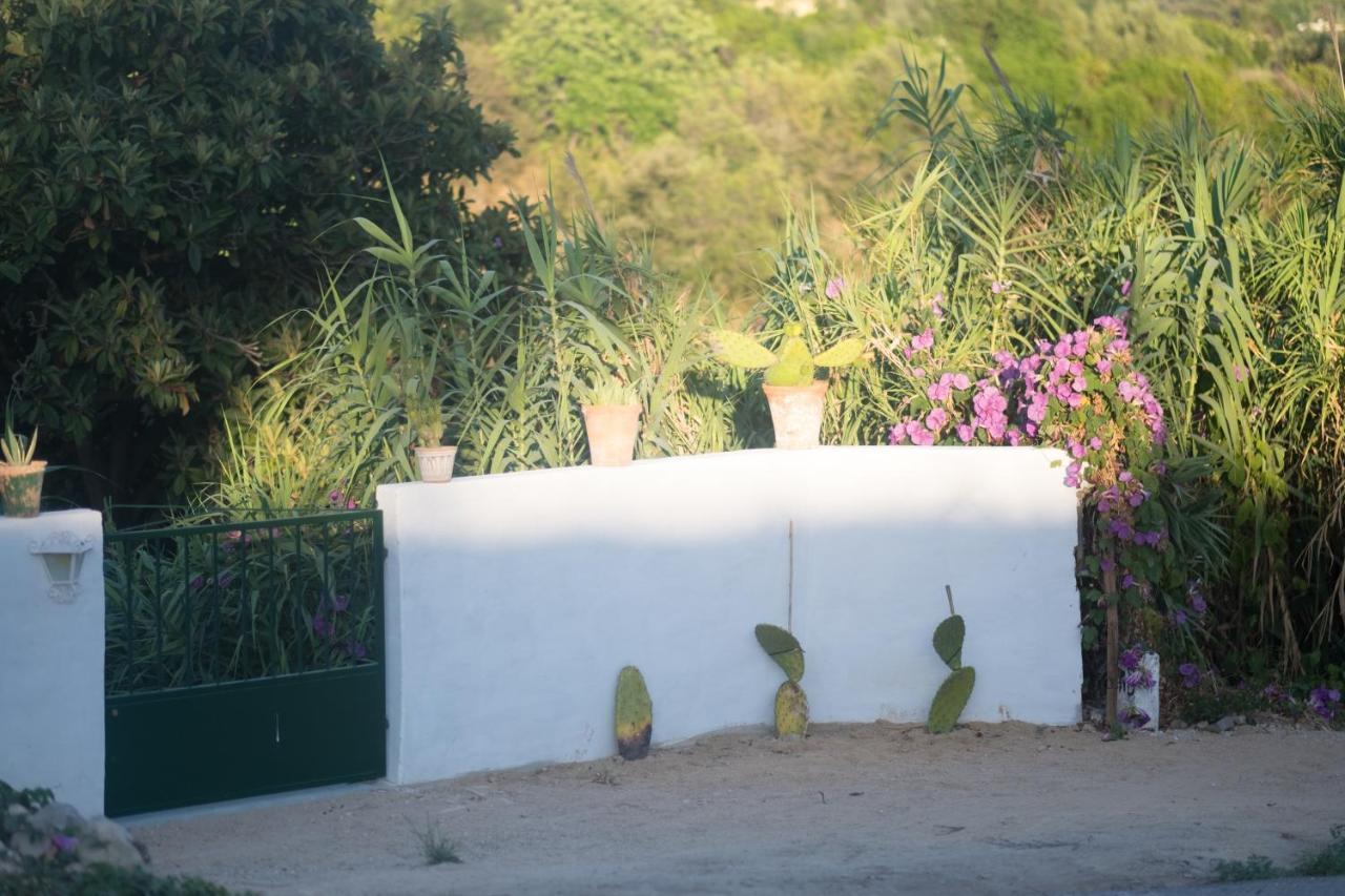 Casa Da Cabeca Hotel Azinheiro Екстериор снимка